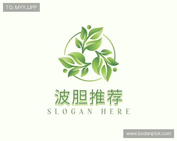 发现波胆分析